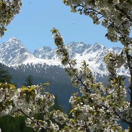 Guest house Apart Bergfrieden