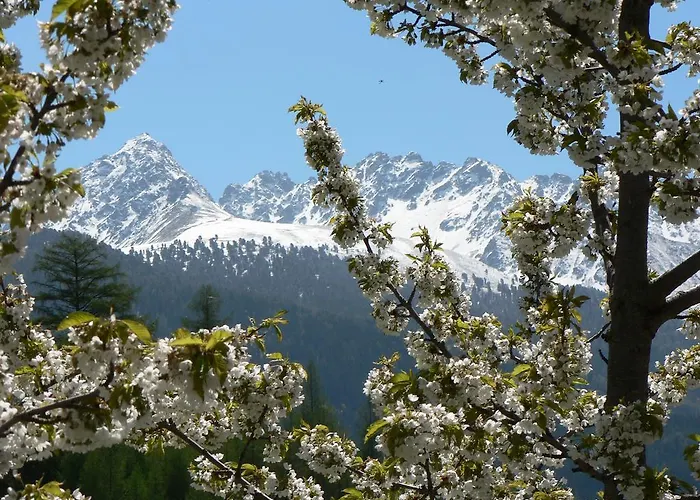 Gasthuis Bergfrieden
